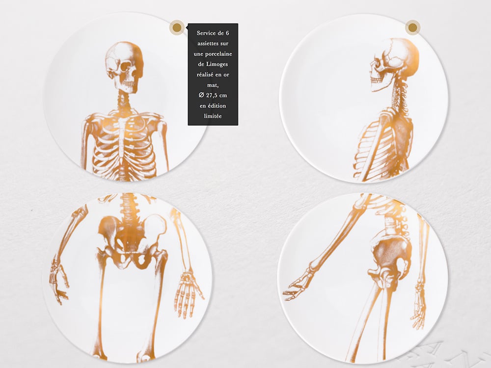 LIMBUS | Agence Design et Web - Corps humain: squelette