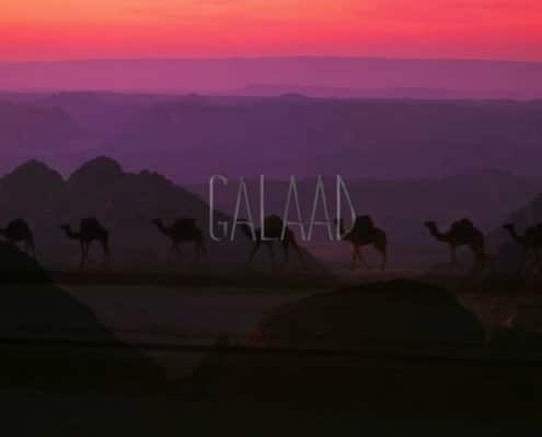 Galaad - Savane